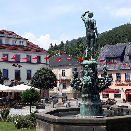 Gasthof Hillig Bad Gottleuba-Berggiesshuebel Exterior photo