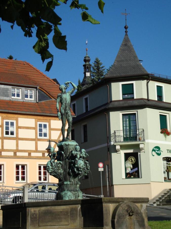Gasthof Hillig Bad Gottleuba-Berggiesshuebel Exterior photo