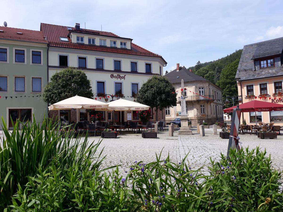 Gasthof Hillig Bad Gottleuba-Berggiesshuebel Exterior photo