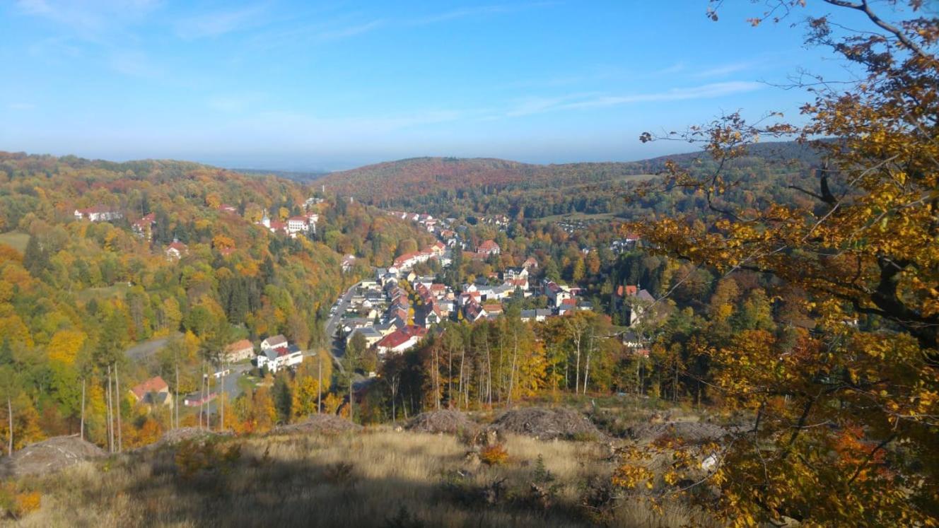 Gasthof Hillig Bad Gottleuba-Berggiesshuebel Exterior photo